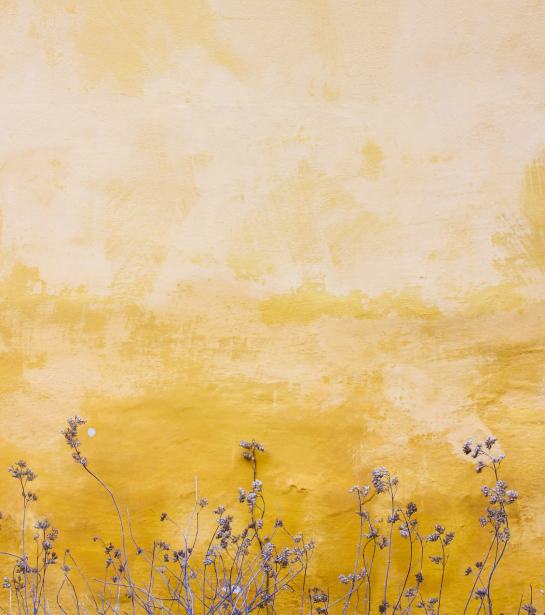 Gele muur met paarsen bloemen